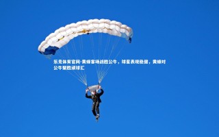 乐竞体育官网-黄蜂客场战胜公牛，球星表现稳健，黄蜂对公牛聚胜顽球汇